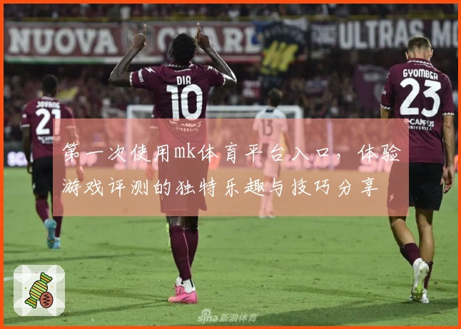 第一次使用mk体育平台入口，体验游戏评测的独特乐趣与技巧分享